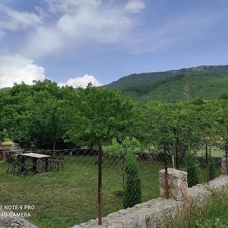 Aleks Villa Ohrid Kültér fotó