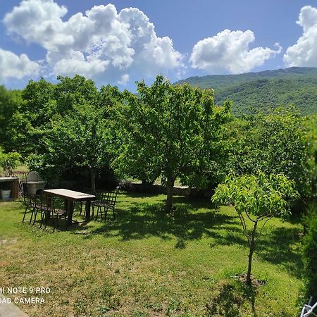 Aleks Villa Ohrid Kültér fotó