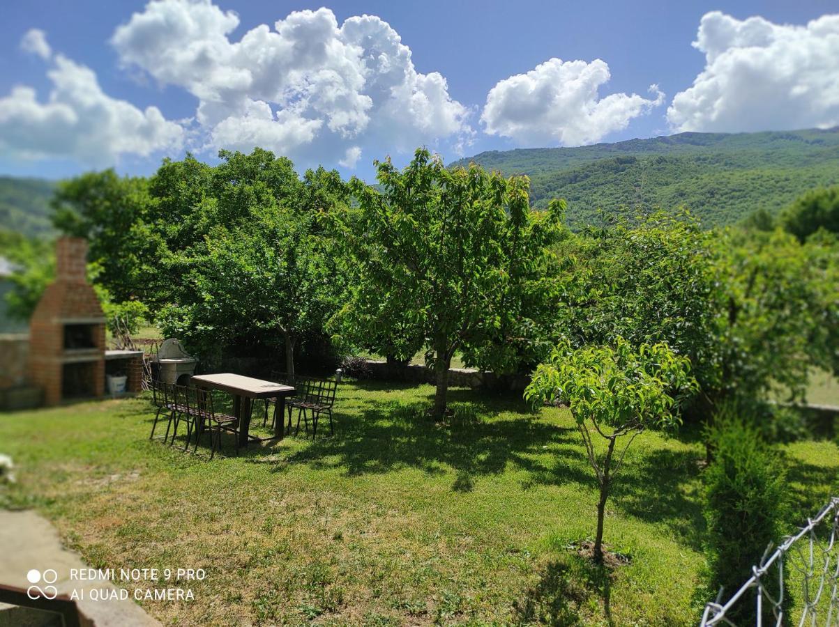 Aleks Villa Ohrid Kültér fotó