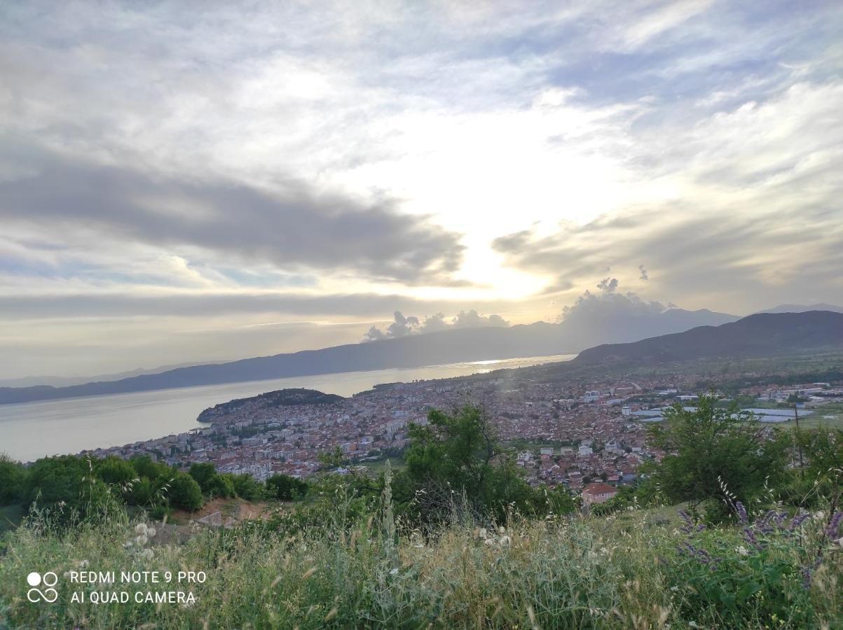 Aleks Villa Ohrid Kültér fotó